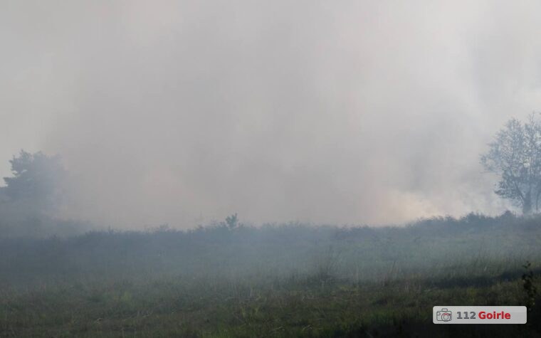 Forse heidebrand bij Tweede Dijk in Goirle snel onder controle – foto 112 Goirle