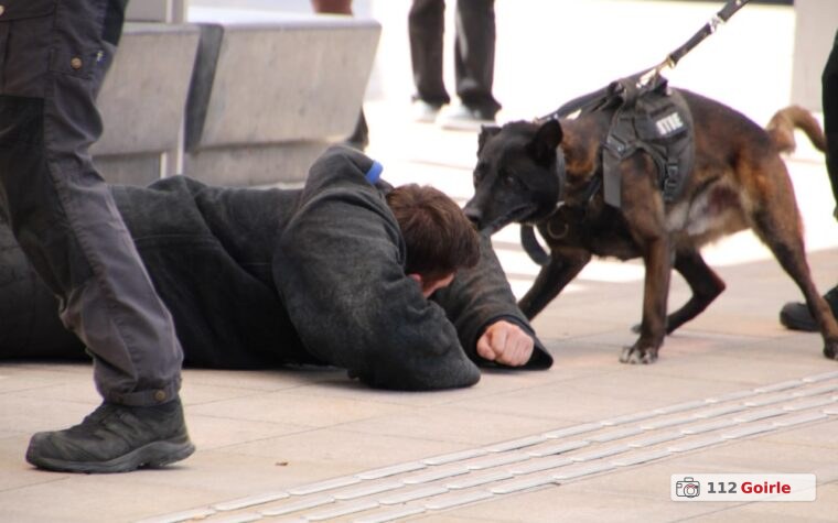 Politiehonden in opleiding oefenen bij Tilburg Centraal Station – foto 112 Goirle