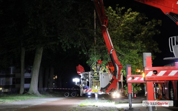 Grote tak zorgt voor afsluiting op Conservatoriumlaan in Tilburg – foto 112 Goirle