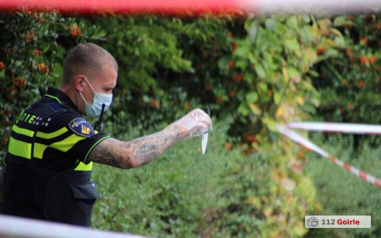 Twee verdachten van 15 en 18 jaar aangehouden na steekincident aan Karel Doormanlaan in Tilburg